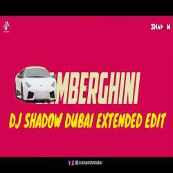 Lamberghini (The Doorbeen Feat Ragini) Poster