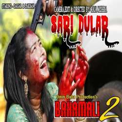 Sari Dular Poster