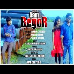 Aam Begor te Gati Poster