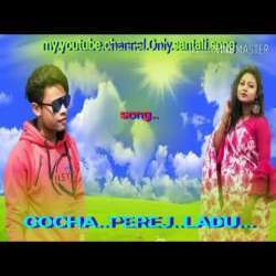 GOCHA PEREJ LADU Poster