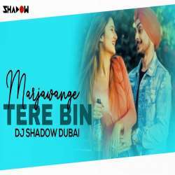 Marjawange Tere Bin (GSD Singh) DJ Shadow Dubai Poster