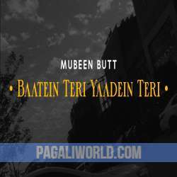 Baatein Teri Yaadein Teri Poster