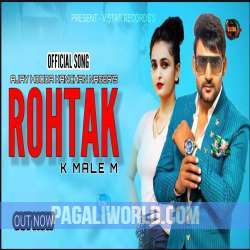 Rohtak Ke Mele Mein Poster