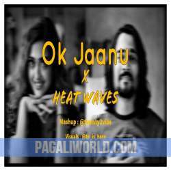 Ok Jaanu x Heat Waves Slowed Reverb Poster