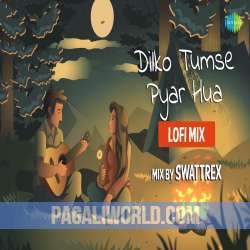 Dilko Tumse Pyar Hua (LoFi Mix) Poster