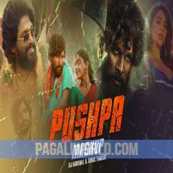 Pushpa Mashup 2022 Poster