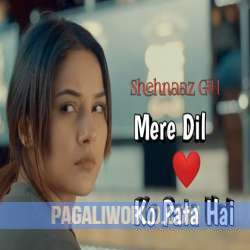 Mere Dil Ko Pata Hai Poster