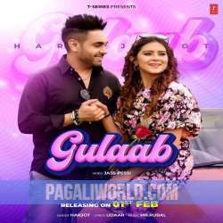 Gulaab Poster