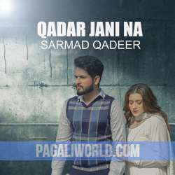 Qadar Jani Na Poster