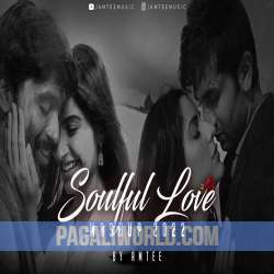 Soulful Love Mashup 2022 Poster