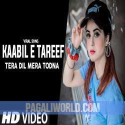 Kaabil E Tareef Tera Dil Mera Todna Poster