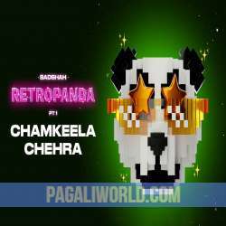 Chamkeela Chehra Poster