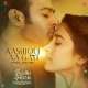 Aashiqui Aa Gayi Ringtone Poster