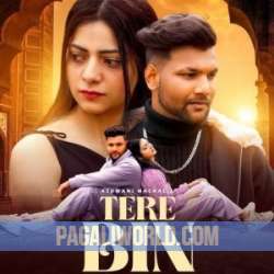 Tere Bin   Ashwani Machal Poster