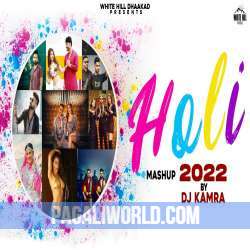 Holi Mashup 2022 (Dhaakad) Poster