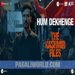 Hum Dekhenge Poster