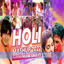 Holi Mashup 2022 Poster