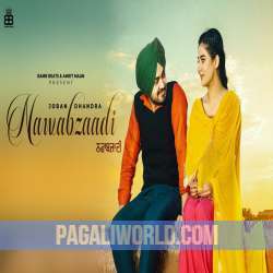 Nawabzaadi Poster