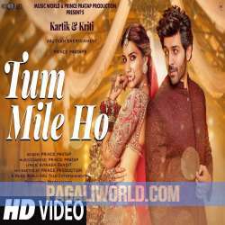 Tum Mile Ho Poster