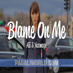 Blame On Me Poster