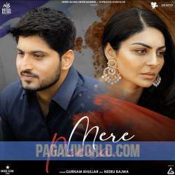 Mere Peera Poster