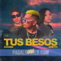 Tus Besos Poster