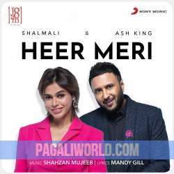 Heer Meri Poster