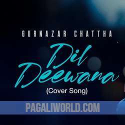 Dil Deewana Poster