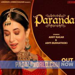 Paranda Addy Nagar Poster