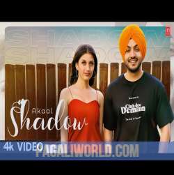 Shadow Akaal Poster