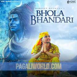 Bhola Bhandari Poster