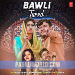 Bawli Tared Poster