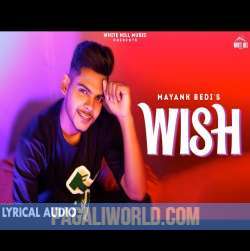 Wish Mayank Bedi Poster