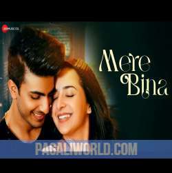 Mere Bina Poster