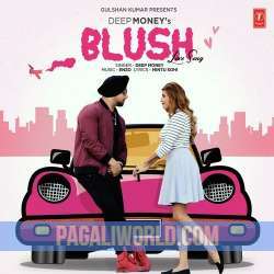 Blush Poster