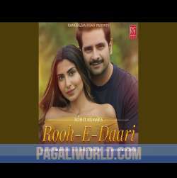 Rooh E Daari Poster