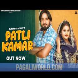 Patli Kamar Poster