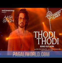 Thodi Thodi Aur Chandani Thodi Thodi Raat Poster