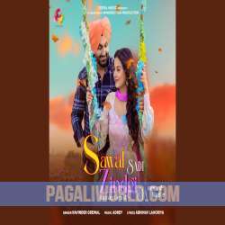 Sawal Sadi Zindgi Da Poster