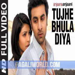 Tujhe Bhula Diya Poster