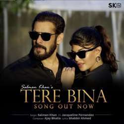 Tere Bina Poster