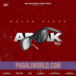 Ainak Poster