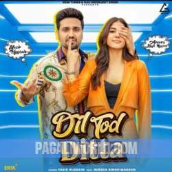 Dil Tod Ditta Poster