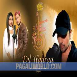 Dil Haaraa Poster