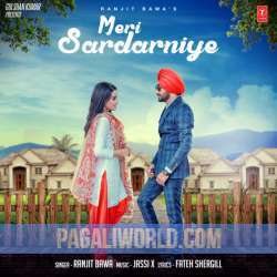 Meri Sardarniye Poster