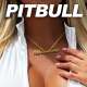 Pitbull Mamasota Poster