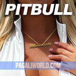 Pitbull Mamasota Poster