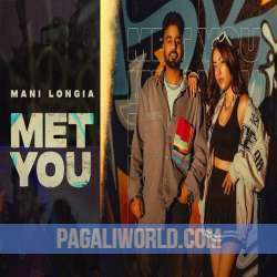 Met You Poster