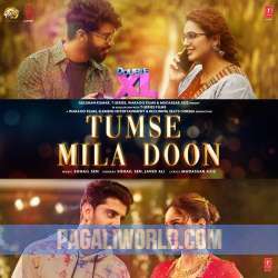 Tumse Mila Doon Poster