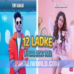 12 Ladke Poster